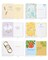 American Greetings All-Occasion Cards Assortment, Birthday, Thank You, Thinking of You, Congratulations & More (40-Count)